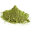 Moringa Powder Exporters, Wholesaler & Manufacturer | Globaltradeplaza.com