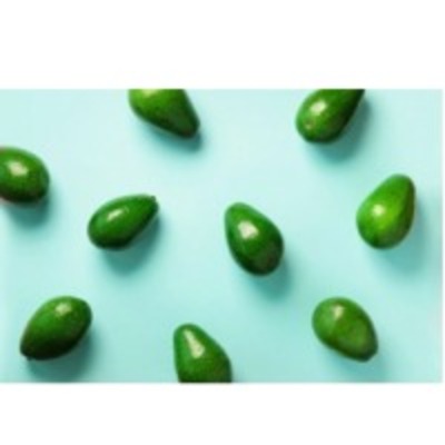 resources of Avocadoes exporters