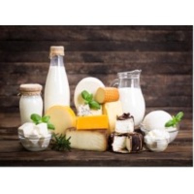 resources of Dairy Products exporters