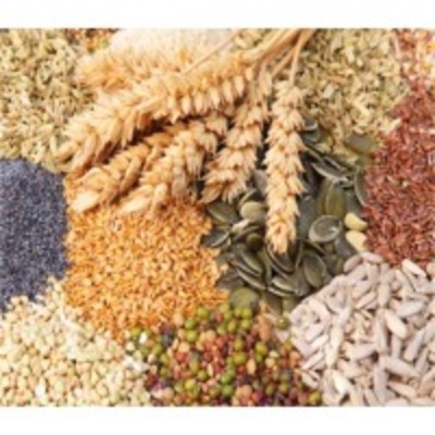 resources of Cereals exporters