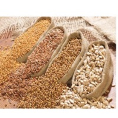 resources of Oil Seeds exporters