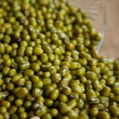 resources of Mung Bean - 3.5 To 4.2 Mm Unpolished exporters