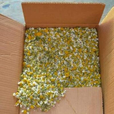 resources of Organic Chamomile Flowers exporters