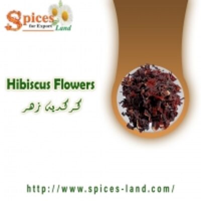 resources of Organic Hibiscus Flowers exporters