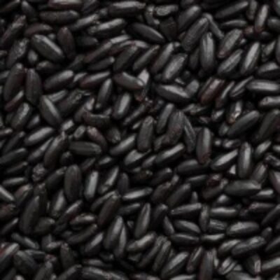resources of Black Rice exporters