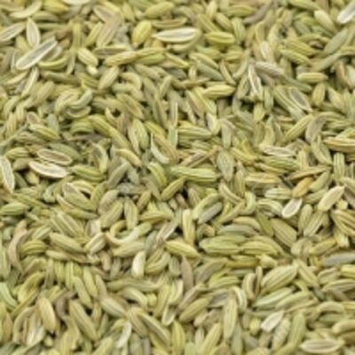 Fennel Seeds Exporters, Wholesaler & Manufacturer | Globaltradeplaza.com