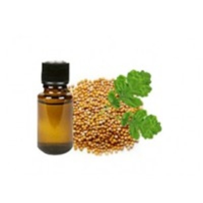resources of Mustard Essential Oil exporters