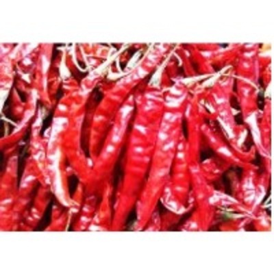 resources of Chilli exporters