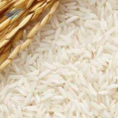 resources of Pusa Basmati Rice exporters