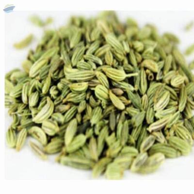resources of Fennel Seeds exporters