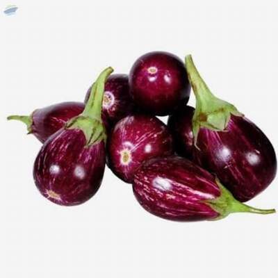 resources of Fresh Vegetables exporters