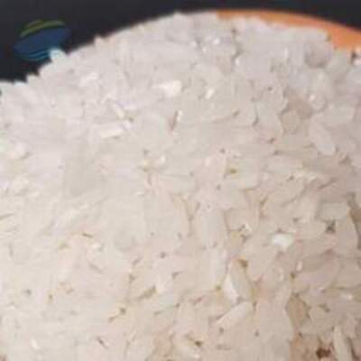 resources of Ponni Rice exporters