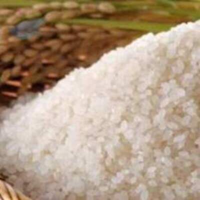 resources of Kranti Raw Rice exporters