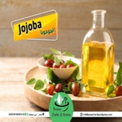 resources of Jojoba Oil exporters