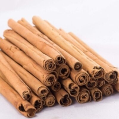 resources of Ceylon Cinnamon exporters