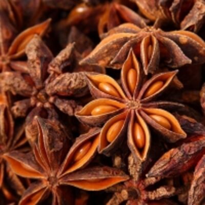 resources of Whole Star Anise exporters