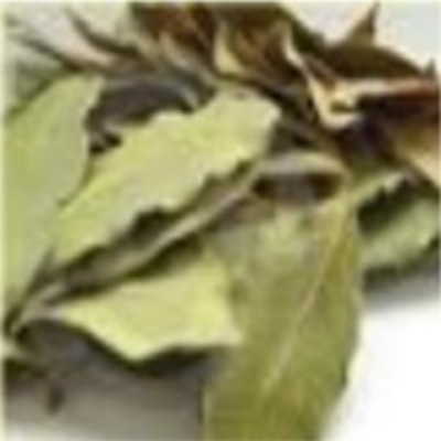 resources of Bay Leaves exporters