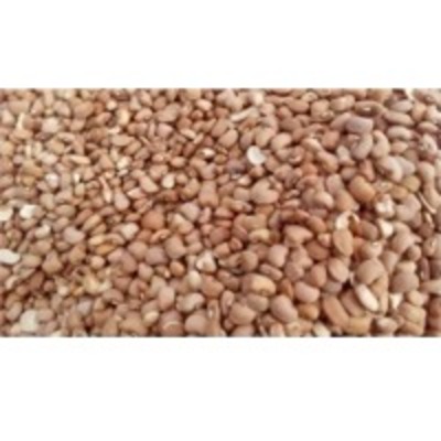 resources of Brown Beans exporters