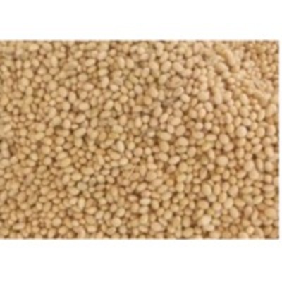 resources of Soybean Seeds exporters