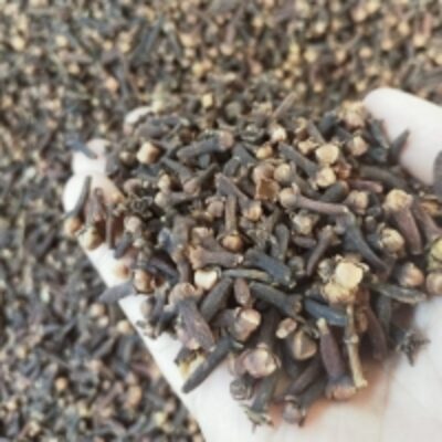 resources of Dried Clove exporters