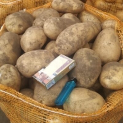 resources of Fresh Potato exporters