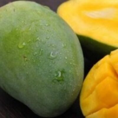 resources of Fresh Mango Harum Manis exporters