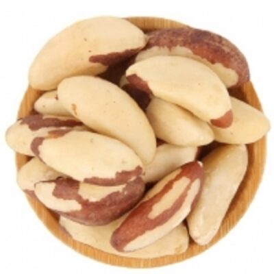 resources of Brazil Nut exporters