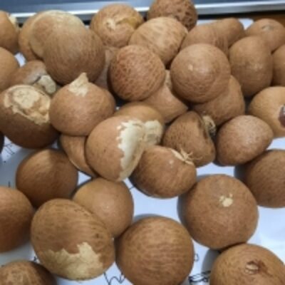 resources of Areca Betel Nut exporters