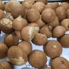 Areca Betel Nut Exporters, Wholesaler & Manufacturer | Globaltradeplaza.com