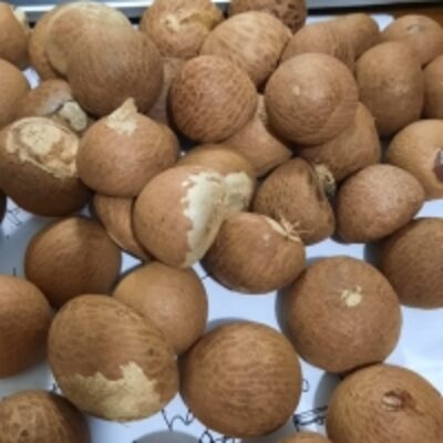 resources of Areca Betel Nut exporters