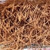 Cinnamon Exporters, Wholesaler & Manufacturer | Globaltradeplaza.com