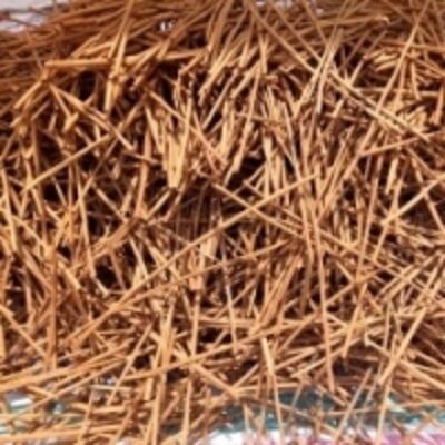 resources of Cinnamon exporters