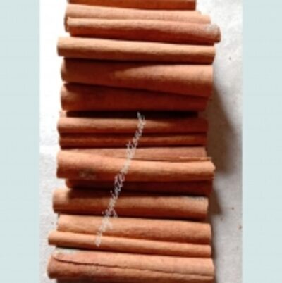 resources of Cinamon Stick exporters