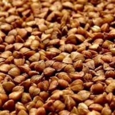 resources of Buckwheat Or Kuttu exporters