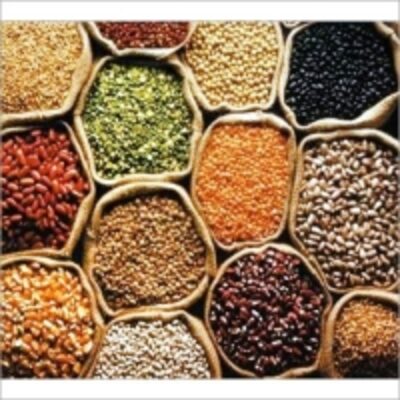 resources of Pulses And Lentils exporters