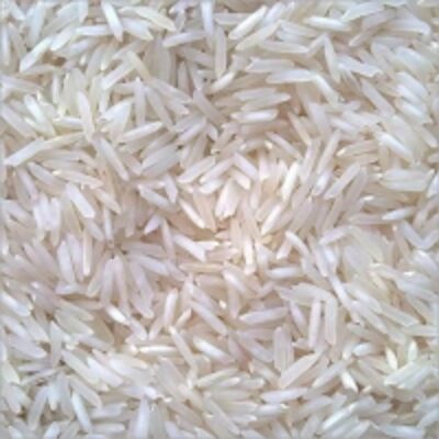 resources of Sharbati Basmati Rice exporters