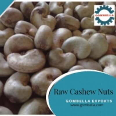 resources of Raw Cashew Nuts exporters