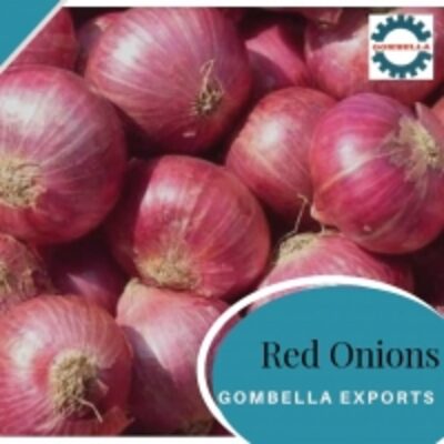 resources of Red Onions exporters