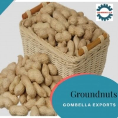 resources of Peanuts/groundnuts exporters