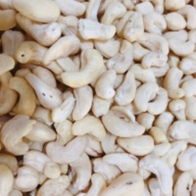 Cashew Nut Ww320 - Huynh Gia Agri Jsc Exporters, Wholesaler & Manufacturer | Globaltradeplaza.com