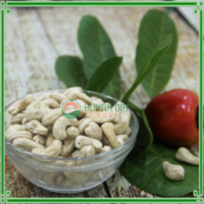 Cashew Nuts Lbw320 Exporters, Wholesaler & Manufacturer | Globaltradeplaza.com