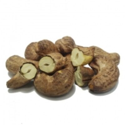 Roasted Cashew Nut With Skin Exporters, Wholesaler & Manufacturer | Globaltradeplaza.com