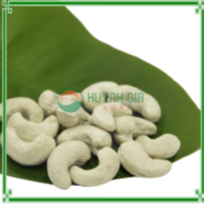 Cashew Nut Ww450 Exporters, Wholesaler & Manufacturer | Globaltradeplaza.com
