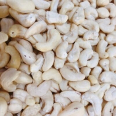 Cashew Nut Ww320 - Huynh Gia Agri Jsc Exporters, Wholesaler & Manufacturer | Globaltradeplaza.com