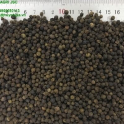 Black Pepper 560-580Gl Clean (5Mm) Exporters, Wholesaler & Manufacturer | Globaltradeplaza.com