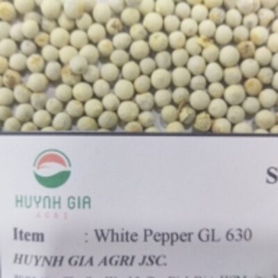 White Pepper 630Gl Clean Exporters, Wholesaler & Manufacturer | Globaltradeplaza.com