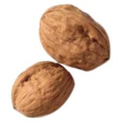 resources of Inshell Walnuts exporters
