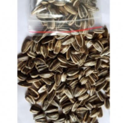 resources of Confectionary Sunflower Seeds exporters