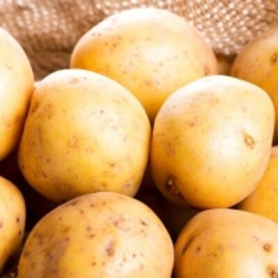 resources of Potatoes exporters