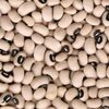 Wholesale Black Eye White Beans Exporters, Wholesaler & Manufacturer | Globaltradeplaza.com